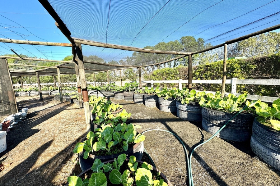 9 Bedroom Property for Sale in Long Acres Country Estate Western Cape